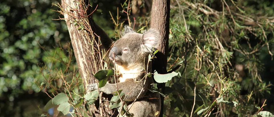 Australia